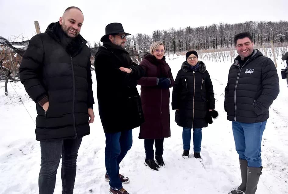 Ledena magija na Hrnjevcu: Na -8,4 °C Kutjevo d.d. obavilo povijesnu berbu za vrhunska vina