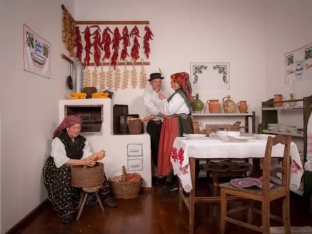 Novi poticaj očuvanju govorne baštine: Sredstva za sičanski i staroperkovački govor