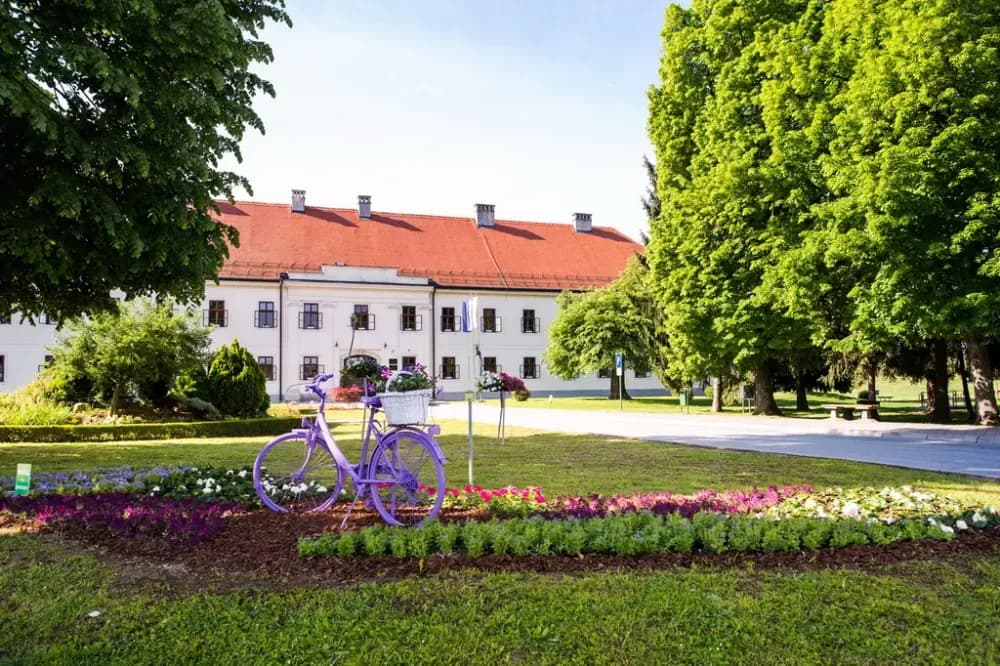 Deratizacija u tijeku: evo kada i gdje