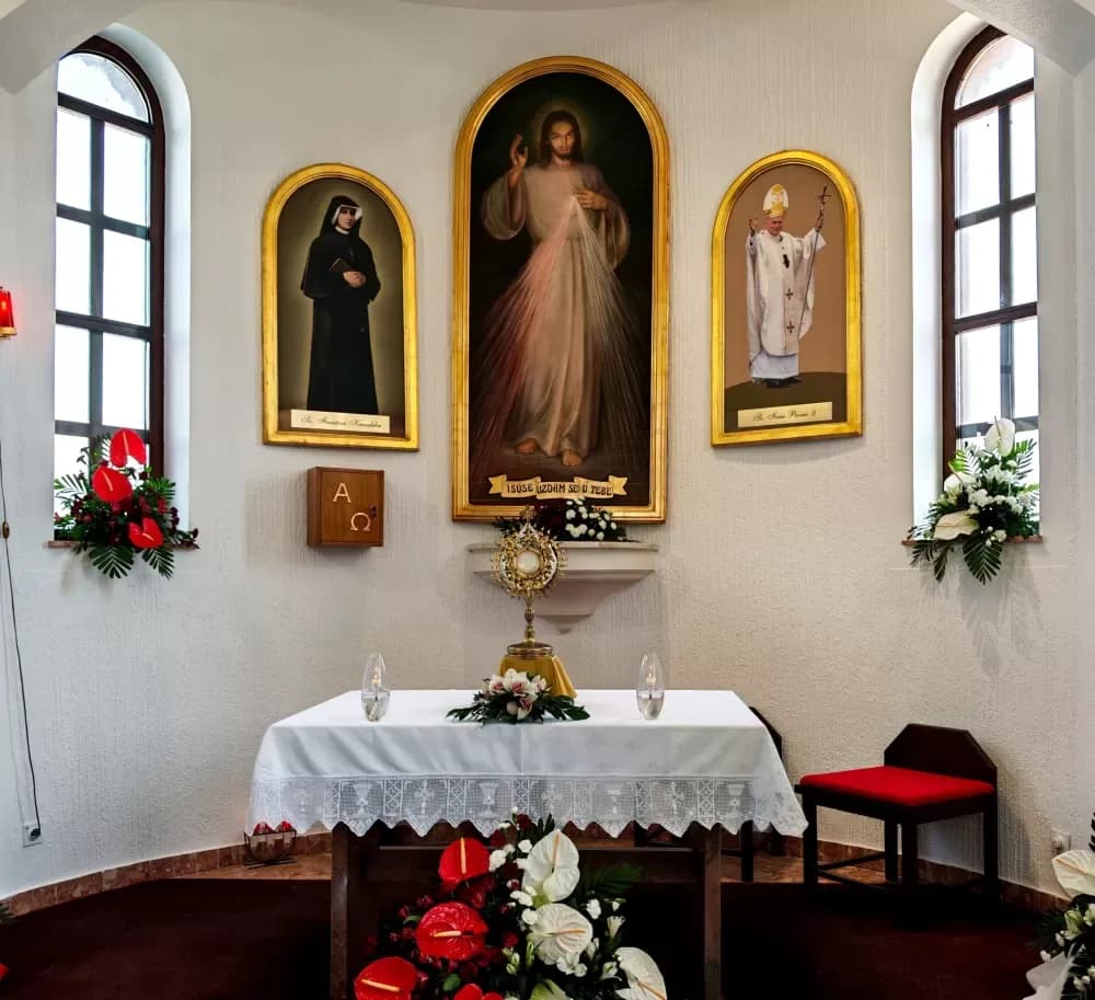 /FOTOGALERIJA/ Tisuće hodočasnika na proslavi svetkovine Božjeg Milosrđa