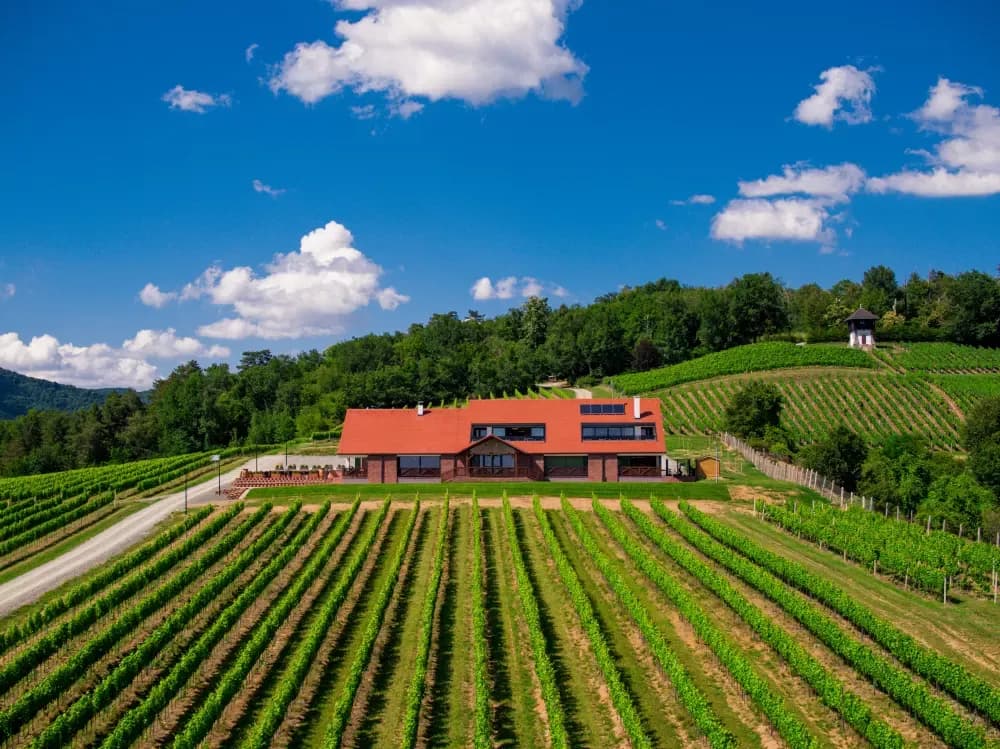 TRAVANJ U RESTORANU VINKOMIR – MJESEC VINA, OKUSA I DRUŽENJA