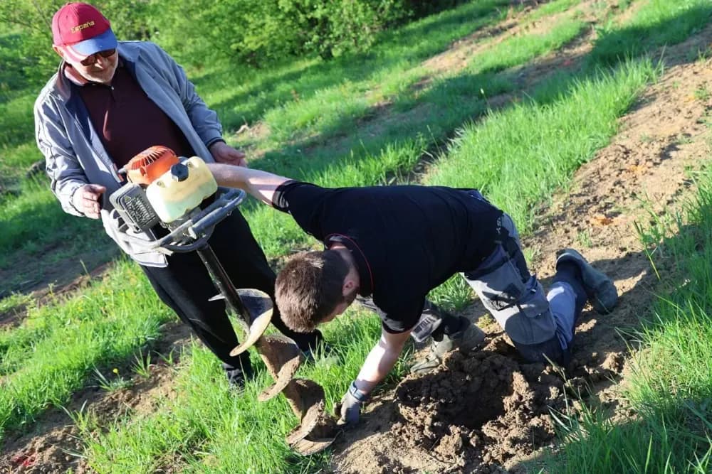 1100 novih trsova u Brodskom Vinogorju – Stanići nastavljaju obiteljsku vinsku priču