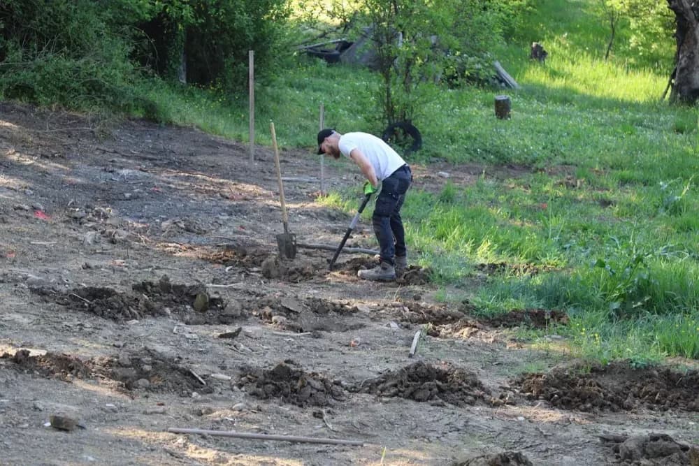 1100 novih trsova u Brodskom Vinogorju – Stanići nastavljaju obiteljsku vinsku priču
