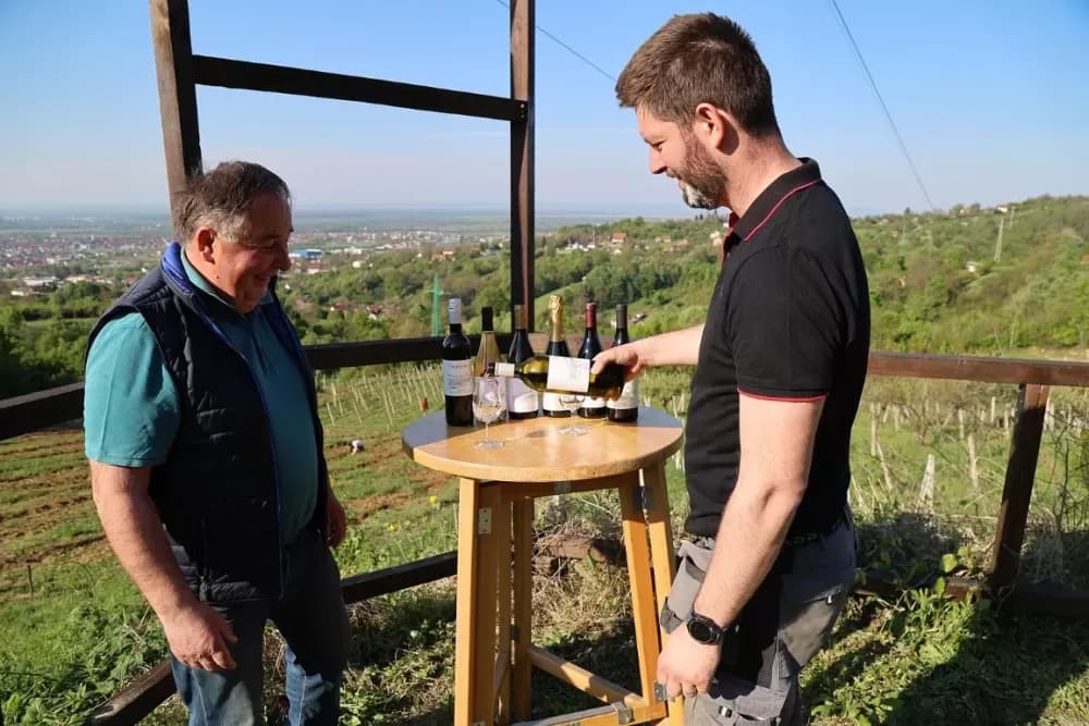 1100 novih trsova u Brodskom Vinogorju – Stanići nastavljaju obiteljsku vinsku priču