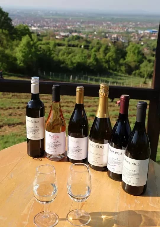 1100 novih trsova u Brodskom Vinogorju – Stanići nastavljaju obiteljsku vinsku priču