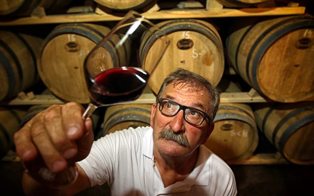 Vina odlična, vinara sve više, a vinograda – manje